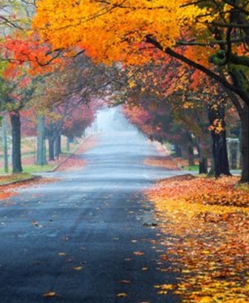 广东金融科技学院