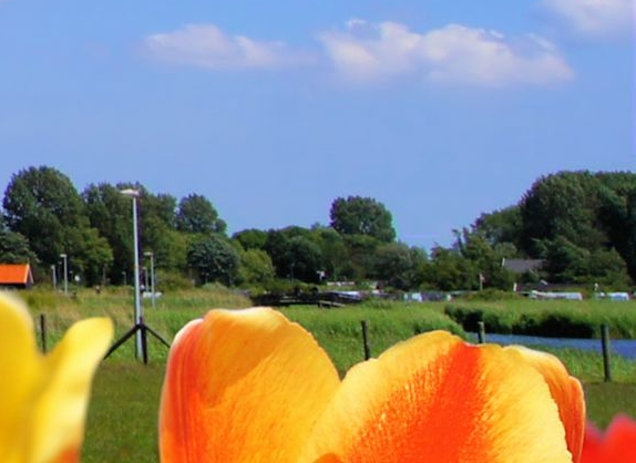 科技布沙发可以用几年更换