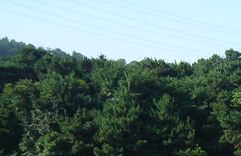 广西三诺数字科技有限公司