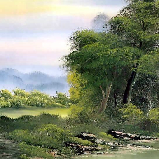 人是怎么来的来到这个世界图片