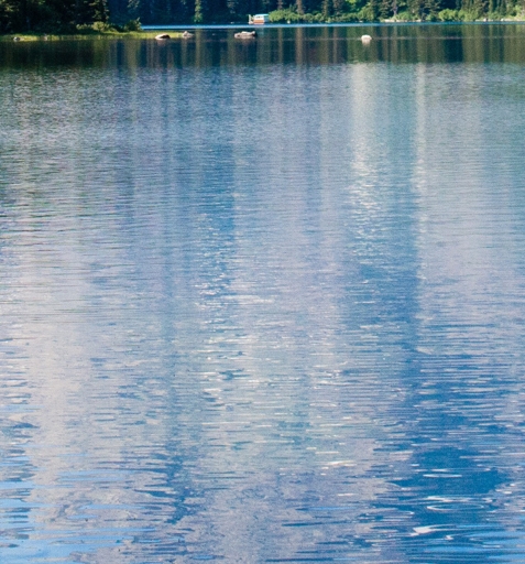 深圳合众科技有限公司是培训机构吗