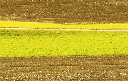 蓝思科技星沙园区搬迁
