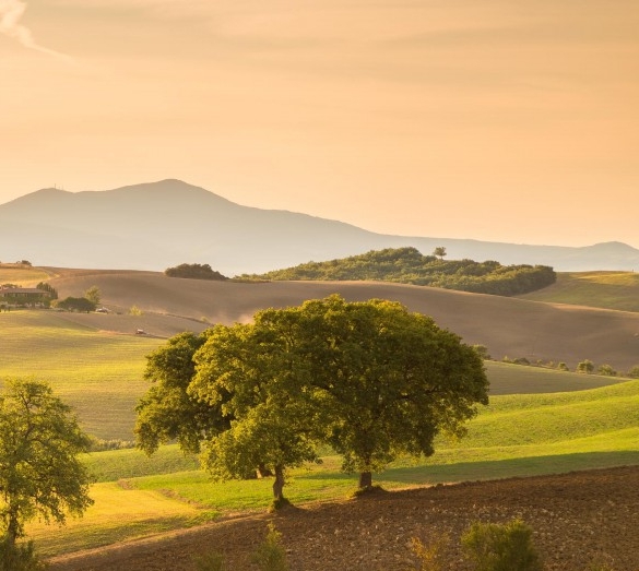 舜宇光学科技是做什么的