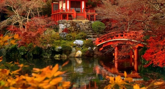 这个世界太复杂了我只是想简单