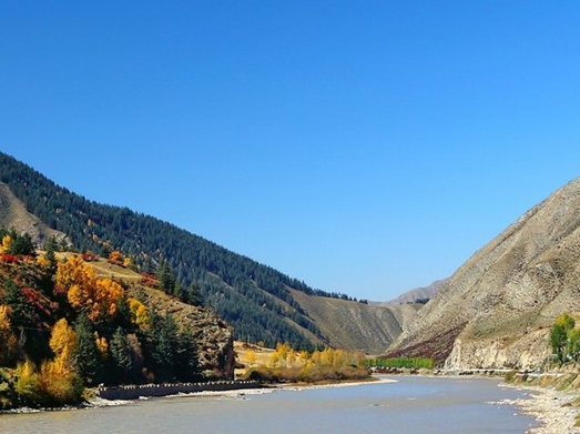 南沙水鸟世界门票