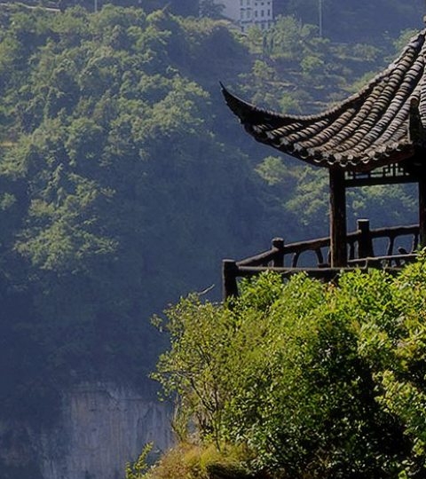 厦门启尚科技