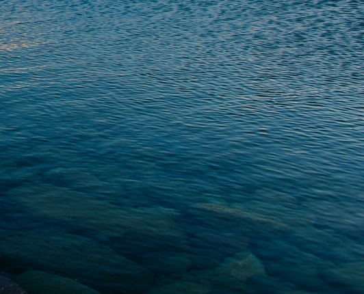 宝宝巴士动物世界视频