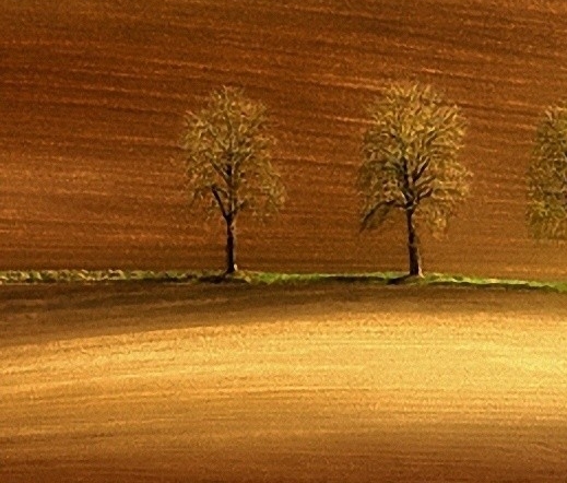 深圳猎户星空科技有限公司