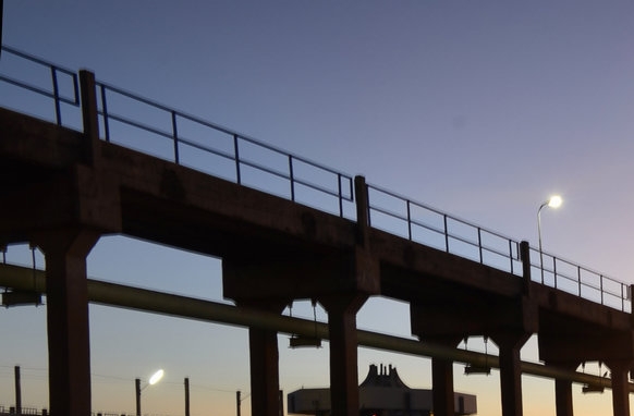 世界吉尼斯纪录最重的猪