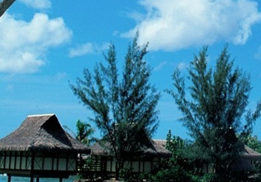 世界上最大的发达国家和发展中国家