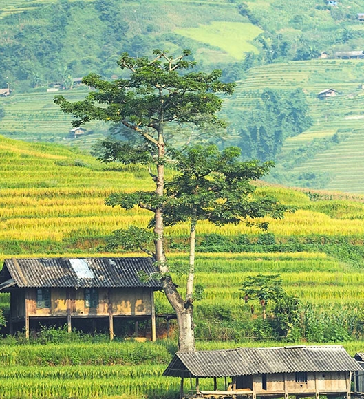 用尚科技