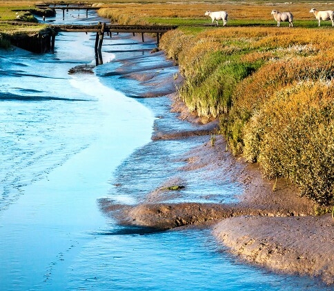 红月我的世界生存日记101