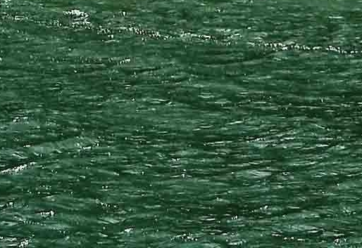 科技馆的日记怎么写三年级