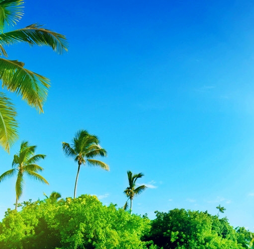 世界上最高的大桥在贵州省哪个地方