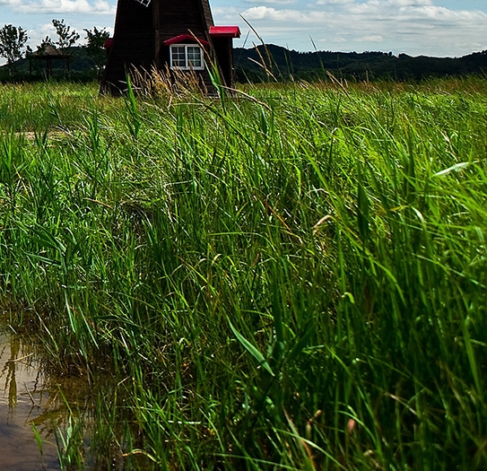 跨境出口电商如何做