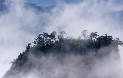 世界上最高的大桥是什么桥