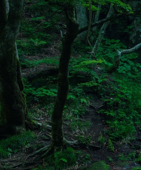 科技管理学校分数线