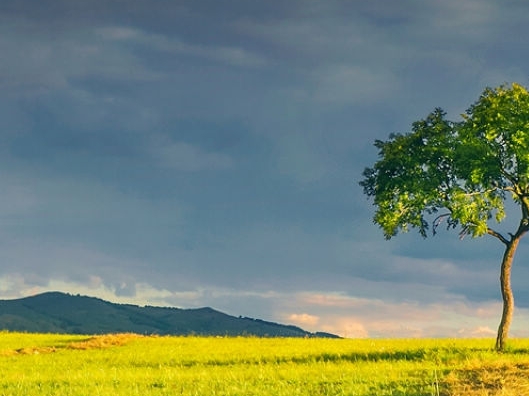 3月20日世界幸福日图片
