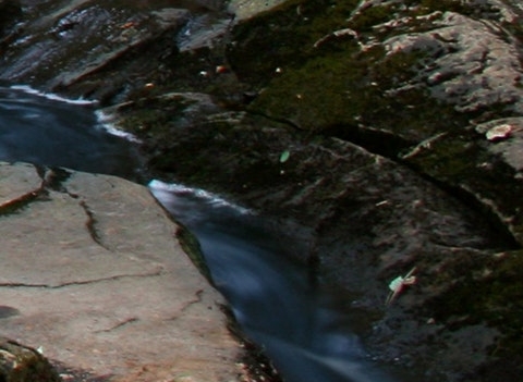 莎士比亚说书籍是人类进步的阶梯