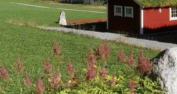 世界上最奇怪的建筑