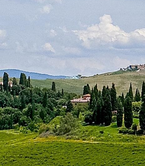 世界上最贵的奶茶