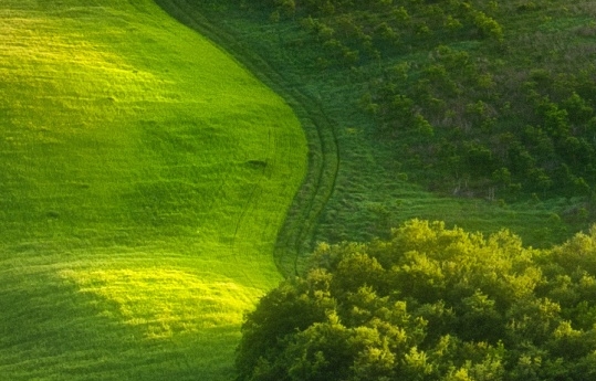 世界最好的电视机品牌