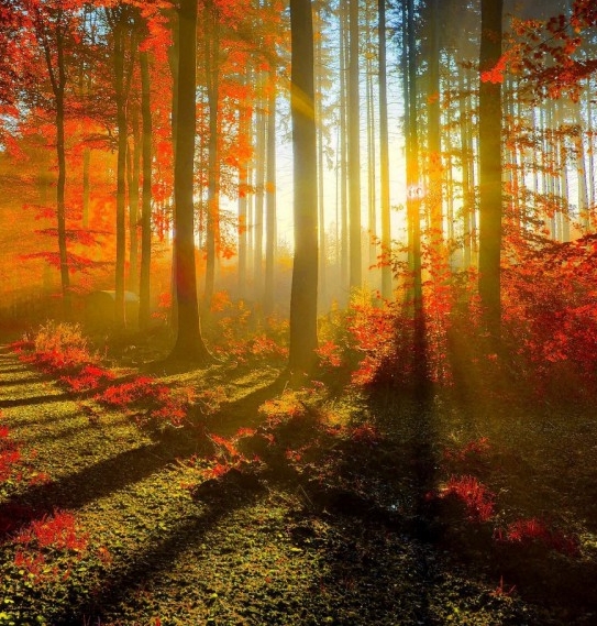 讯飞听见是干什么的