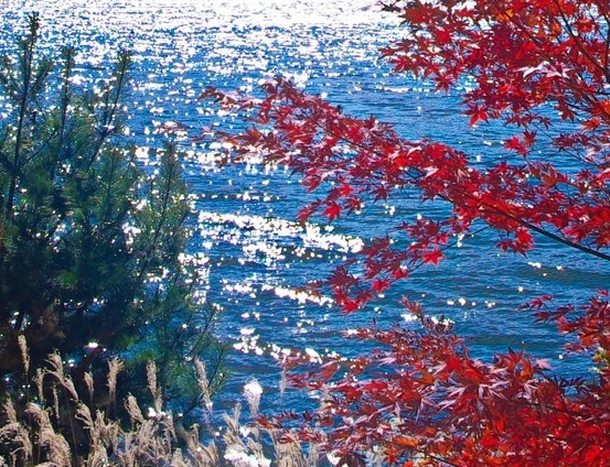 世界上最大的是宇宙吗