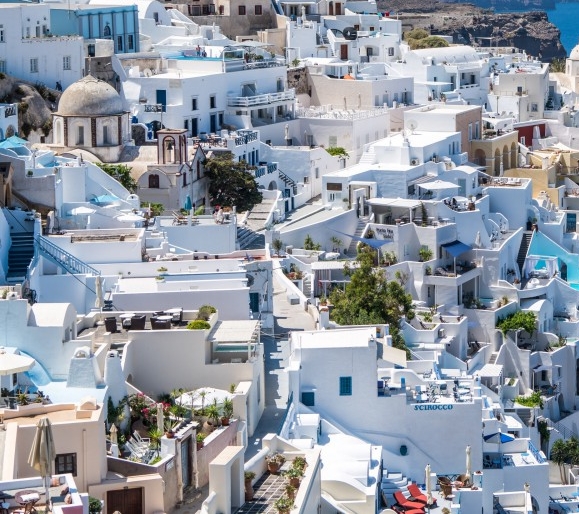 我的世界菜鸟历险记全集僵尸围城