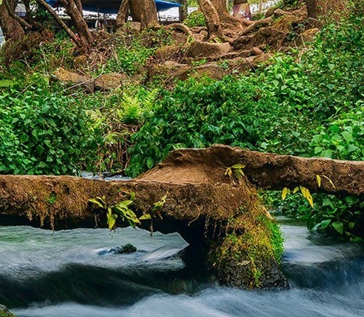 一伴科技是什么软件