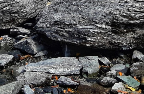 世界第一中后卫范戴克