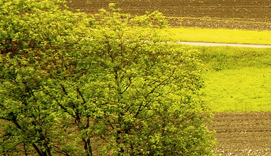 永泰世界主题乐园营业时间