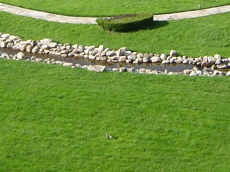 南京海底世界表演节目时间