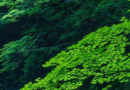 世界就在眼前:家中世界，就在眼前