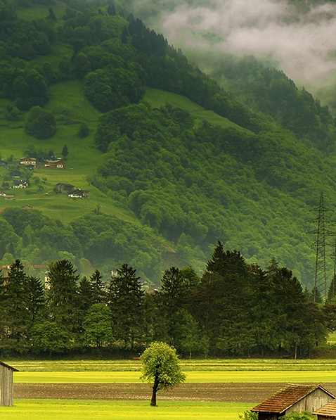 旅游电商运营的旅游电商运营好做吗介绍