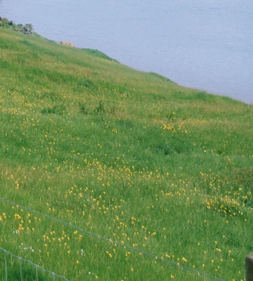 世界前十名高楼