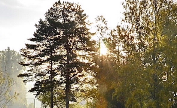 世界上什么病治不好也不死