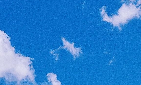 客观世界的本性:客观世界的本性与联系