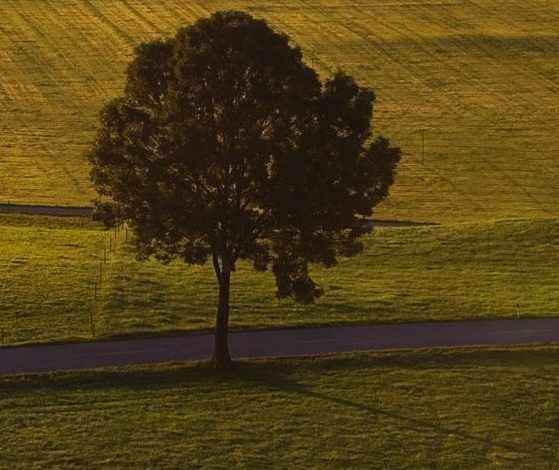 虚幻的世界和真实的世界