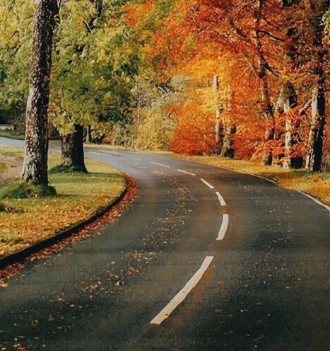 南宫温泉水世界价目表