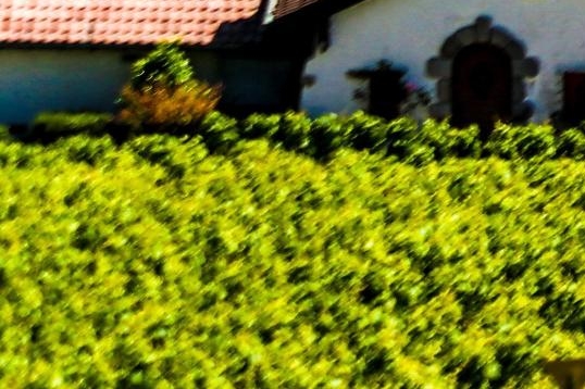 平凡的世界第37集概括