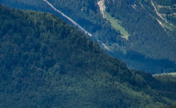 五十米自由泳世界纪录:五十米自由泳世界纪录：谁是最快的游泳者？