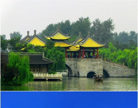 瘦成骷髅的女人