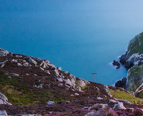 宝安区科创局领导班子