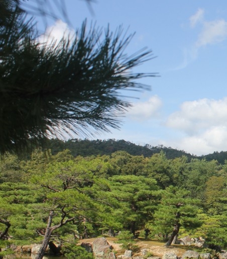 群顶科技