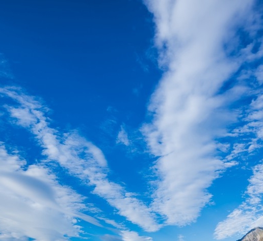 海马是游得最慢的海洋生物吗