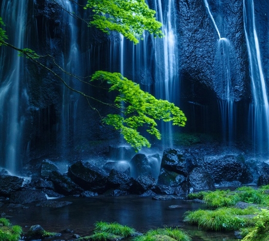 四大粮商在中国的品牌