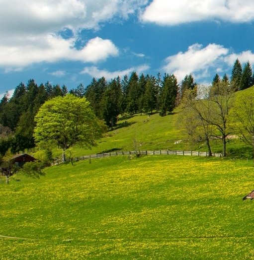 河南工业大学专业排名