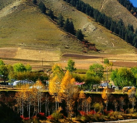 黄金产量世界第一的国家