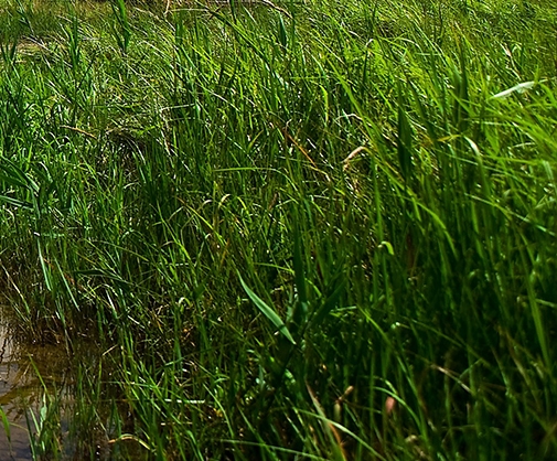 江苏青少年素质教育学校